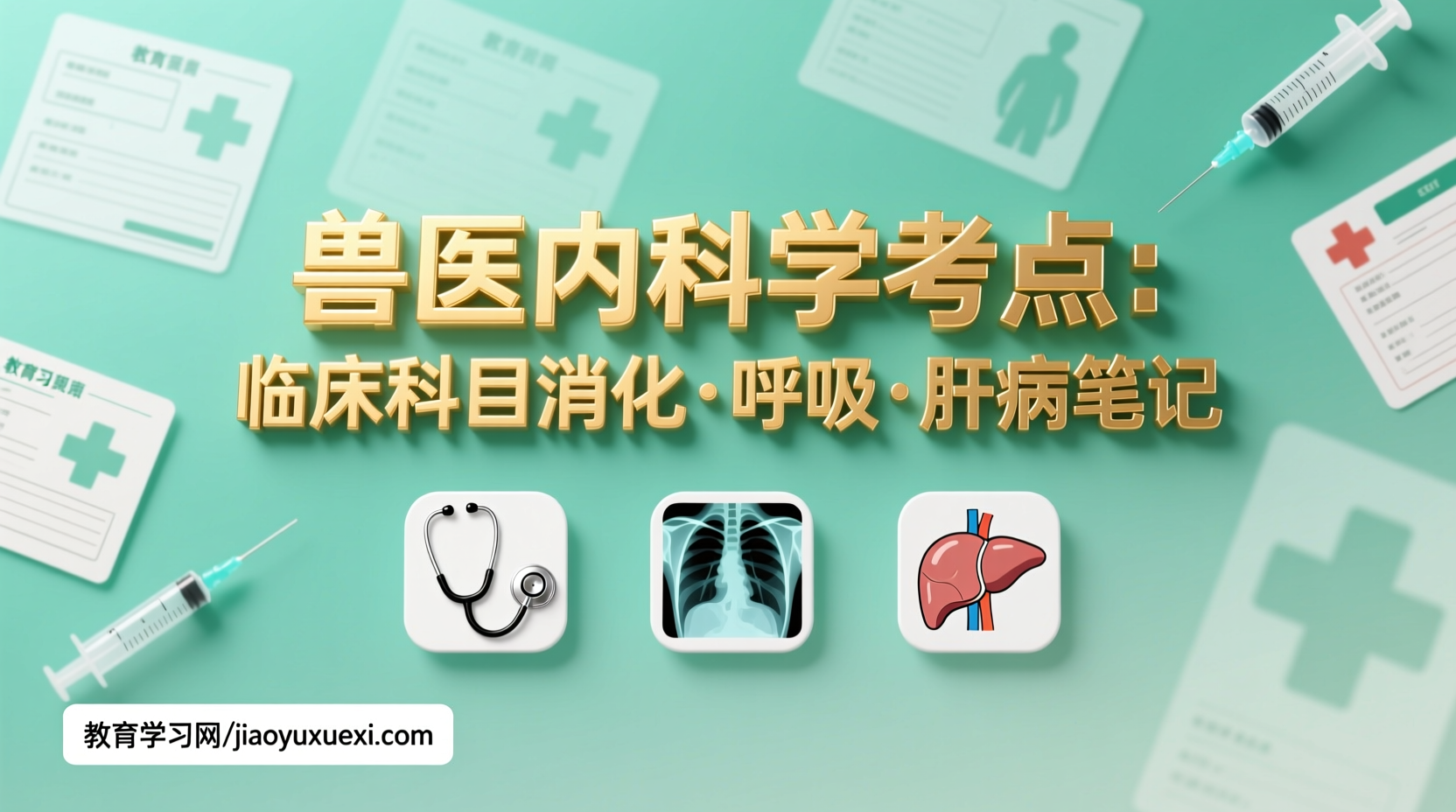 兽医内科考点精析：临床科目高频疾病笔记与复习策略