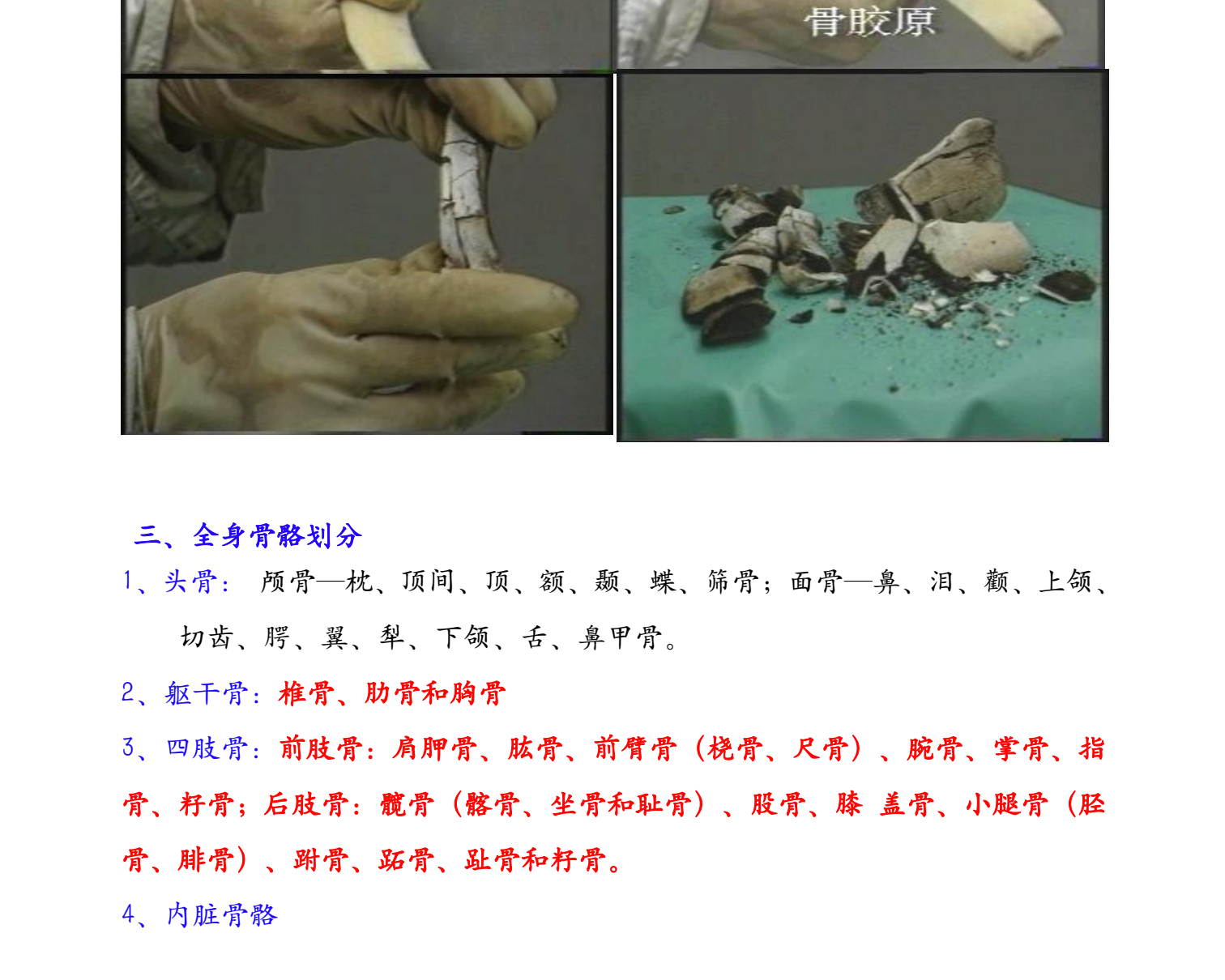 图片[2]|兽医执业资格考试基础科目：药理解剖病理知识点总结