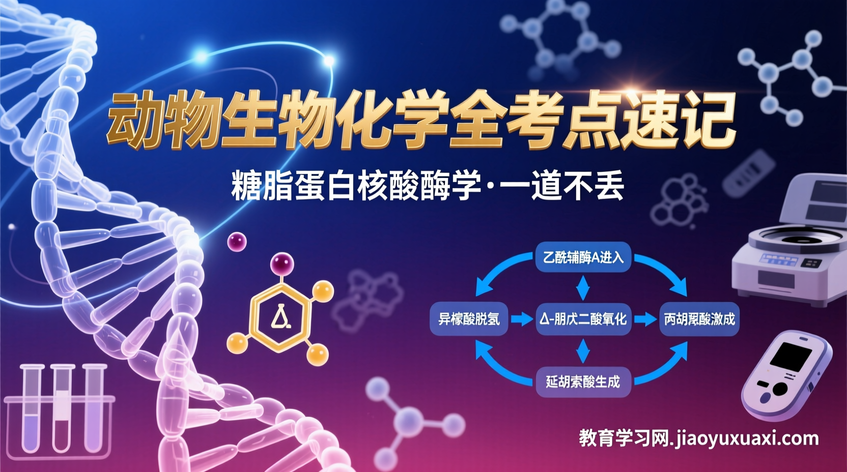 兽医执业资格考试动物生物化学全考点速记：背完这套生化再不丢分兽医执业资格考试动物生物化学考点总结与速记