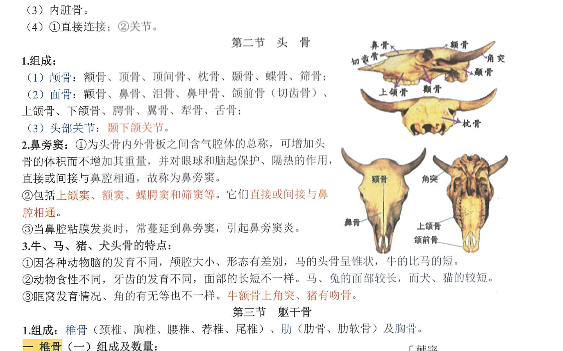 图片[1]|执业兽医资格考试全科复习资料指南