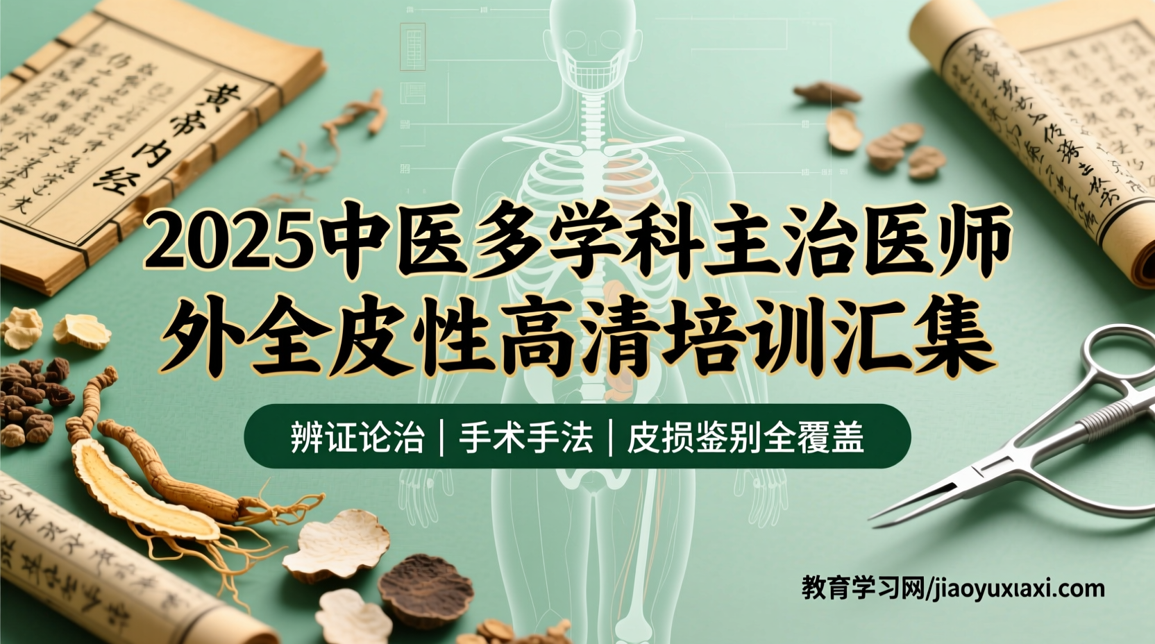2025中医多学科主治：外全皮性全体系深度解析与提分路径2025中医主治医师考试备考资料汇集